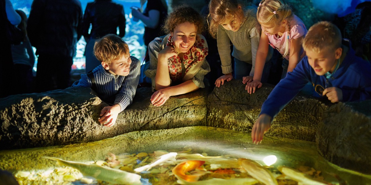 El Henry Doorly Zoo and Aquarium de Omaha gestiona la ocupación y mejora la experiencia de los visitantes con la tecnología Skyfii